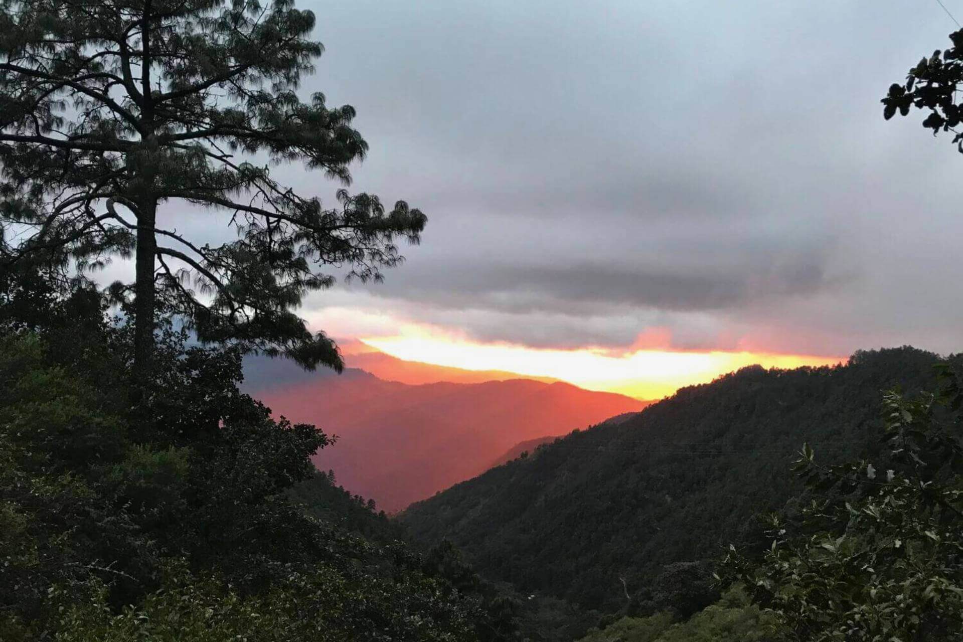 San Jose del Pacifico